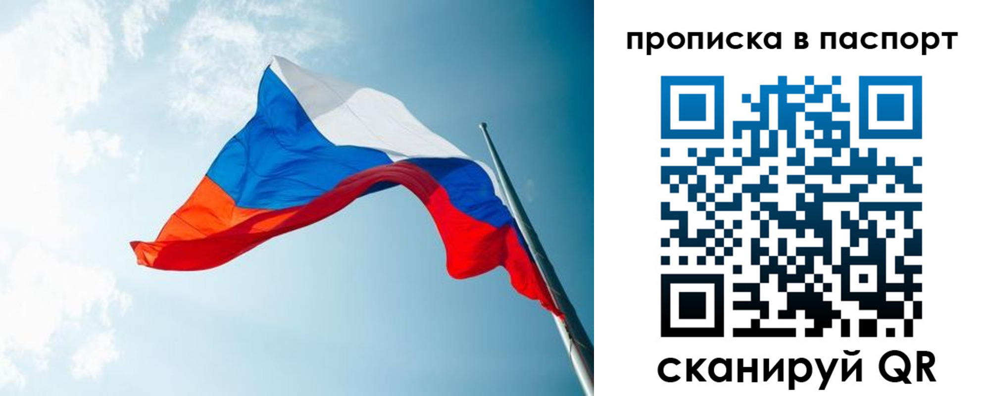 временная прописка в Химках